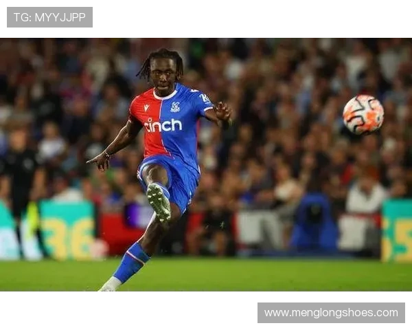 前水晶宫老板遭9700万美元索赔多家俱乐部集团陷入财务危机